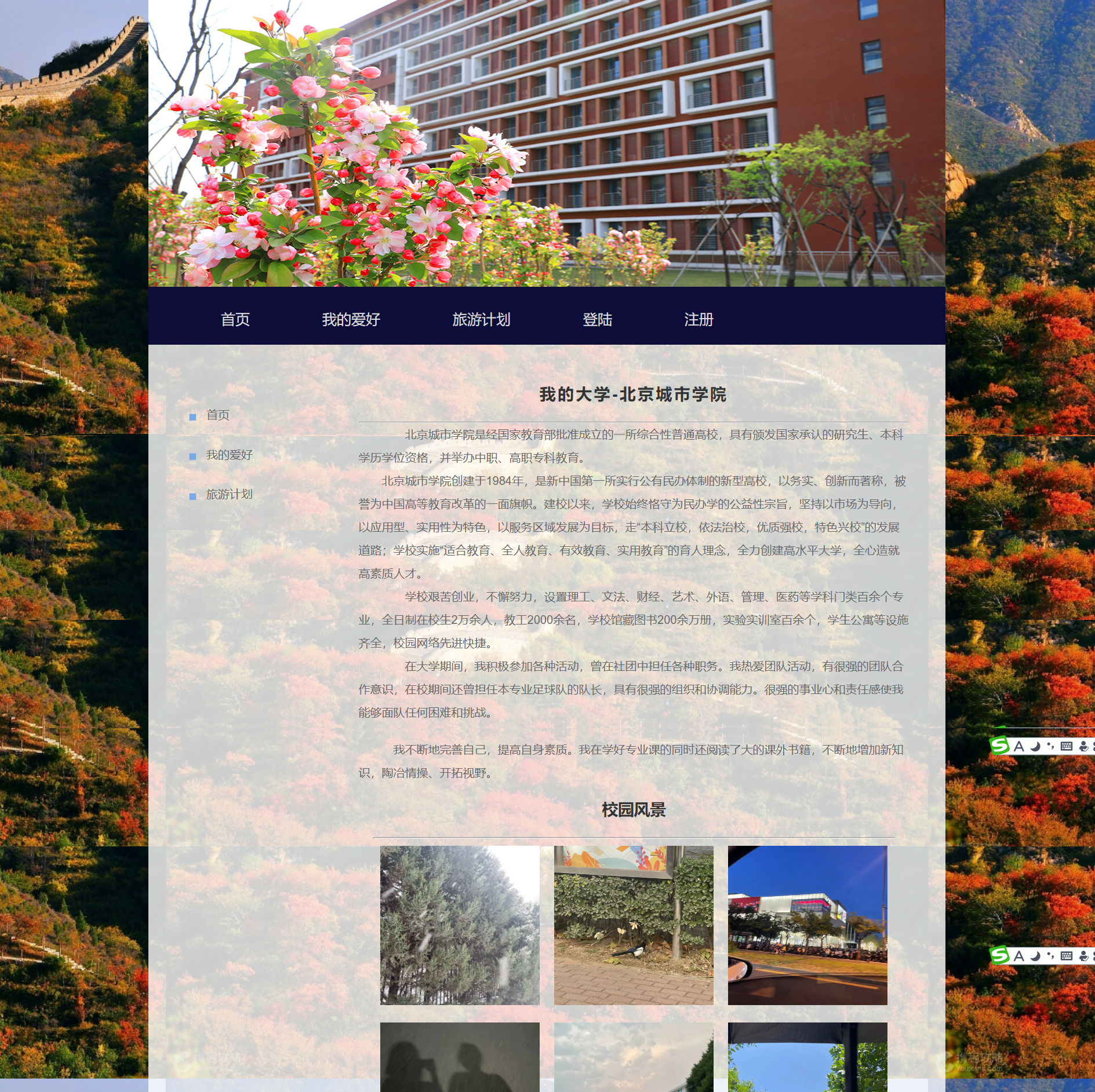 CSS Flexbox 弹性布局入门：轻